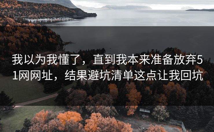 我以为我懂了，直到我本来准备放弃51网网址，结果避坑清单这点让我回坑