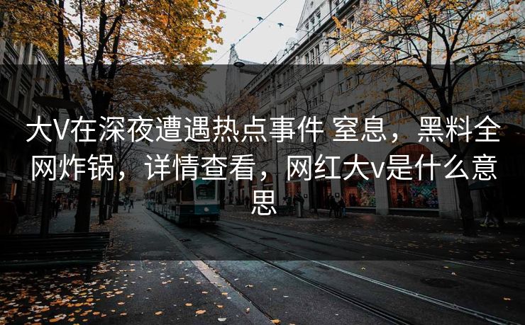 大V在深夜遭遇热点事件 窒息，黑料全网炸锅，详情查看，网红大v是什么意思