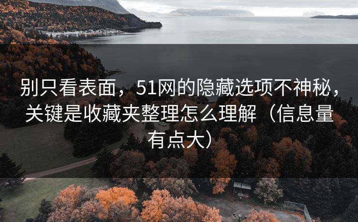 别只看表面,51网的隐藏选项不神秘,关键是收藏夹整理怎么理解(信息量有点大) 别只看表面,51网的隐藏选项不神秘,关键是收藏夹整理怎么理解(信息量有点大)